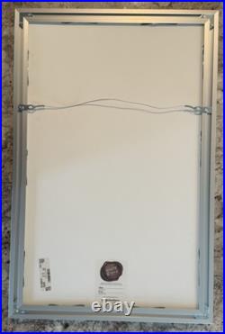 AJ Masthay Ripple Pro Framed/Matted/Museum Plexi Moonlight Foil LE of 250