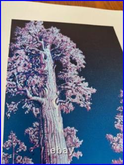 AJ Masthay Sequoia Moonlight Edition Art Print Linocut Poster x/125