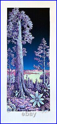 AJ Masthay Sequoia Moonlight LE Poster Signed Linocut Print Dead Welker Spusta