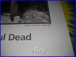 Bob Dylan Jerry Garcia Grateful Dead 1987 Herb Greene Photo Concert Poster-rare