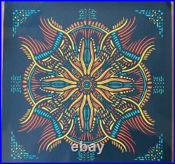 Billy Strings Poster Louisville KY 2022 7/24/22 Sunday Iroquois IN HAND not Foil