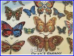 DEAD & COMPANY 2019 VIP Summer Tour Butterfly Poster. FREE SHIPPING