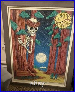 DEAD & COMPANY Poster S/N Shoreline Mountain View CA 2022 Owen Murphy One Drop