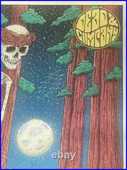 DEAD & COMPANY Poster S/N Shoreline Mountain View CA 2022 Owen Murphy One Drop
