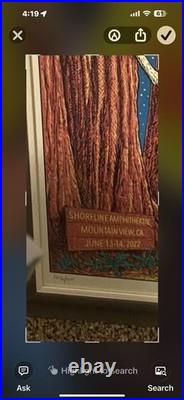 DEAD & COMPANY Poster S/N Shoreline Mountain View CA 2022 Owen Murphy One Drop