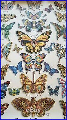 DEAD and COMPANY 2019 VIP Summer Tour Butterfly Poster. FREE SHIPPING