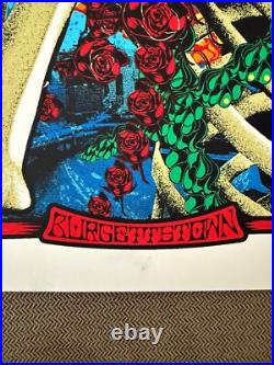 Dead & Company 2016 Concert Poster Adam Pobiak Burgettstown, Pa