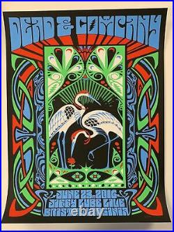 Dead & Company 2016 Nate Duval poster Bristow, VA Summer Tour