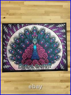 Dead & Company 2024 Alexandra Fischer poster Las Vegas, Nevada Sphere FOIL Onl