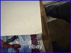 Dead & Company Denver 2015 Co-Uncut Poster Signed AE 5/60 Rare