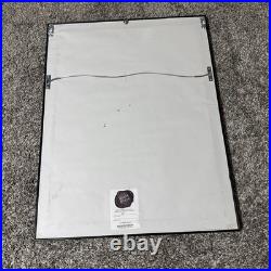 Dead & Company Summer 2019 Concert Poster 23.5x17 Inch