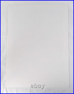 Dead & Company The Final Tour 2023 Poster, Chicago IL, AJ Masthay S/N 3054/3500