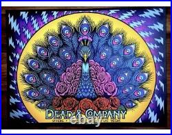 Dead and Company POSTER Las Vegas 5/25/2024 Sphere SATURDAY Alexandra Fisher