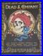 Dead and Company Poster 2015 Fall Tour Summer