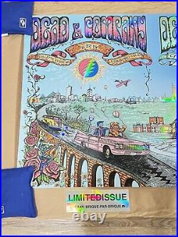 FOIL Dead And Company UNCUT DIPTYCH Poster Gillete Foxboro Citi Field NY 2019 AP