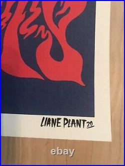 Grateful Dead American Beauty 50 Anniversary Print Poster Company Liane Plant