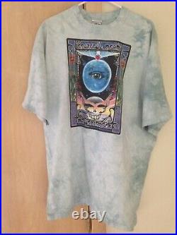 Grateful Dead EYES OF THE WORLD Vintage Shirt GDM 1997 Biffle SUMMER 1995 Poster