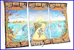 Grateful Dead Fare Thee Well Poster Set-3 Numbered, 2015 Chicago Mike DuBois FLAW