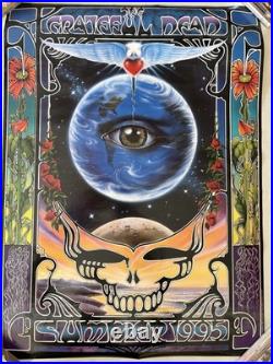 Grateful Dead Poster Summer Tour 1995 Eyes Of The World By Richard Biffle MINT