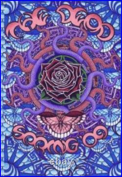 Grateful Dead Spring 2009 3d Lenticular 3d Original Concert Poster Everett Blue