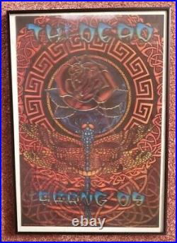 Grateful Dead Spring 2009 Lenticular 3D Framed Concert Poster MICHAEL EVERETT