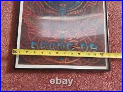 Grateful Dead Spring 2009 Lenticular 3D Framed Concert Poster MICHAEL EVERETT