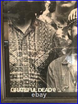 Grateful Dead WB Promo poster rare 28 1/2 x 27 framed