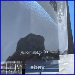 MINT & SIGNED Emek Grateful Dead 2009 Spring Tour Poster