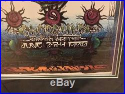 Michael Everett Grateful Dead SUPER RARE Shoreline 1995 Mint, Archivally Framed