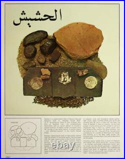 Original 1970 El Hashish Poster 60s Hash Marijuana Varieties Pot Weed Grass 420