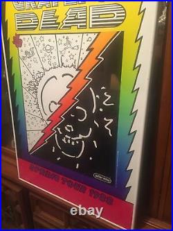 Poster/Vintage/ Framed Grateful Dead / Peter Max Spring Tour 1988 Promo