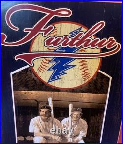 RARE Furthur Grateful Dead 2010 MCU Park Brooklyn Concert Poster Mike DuBois