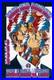 REAR VIP DEAD AND COMPANY guitar and 24X36 Poster