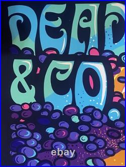 Signed Dead Company VIP Poster Atlanta Terrapin Turtles Space S/N Jeremy Kramer