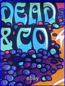 Signed Dead Company VIP Poster Atlanta Terrapin Turtles Space S/N Jeremy Kramer