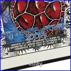 Vintage GRATEFUL DEAD 1995 SUMMER TOUR Poster M Everett AP Signed and Numbered