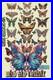 Vip Dead And Company Butterfly Poster